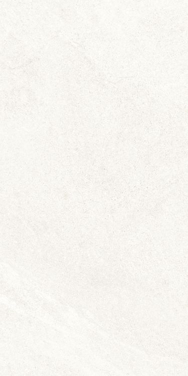 Dhara White Matte 12 x 24